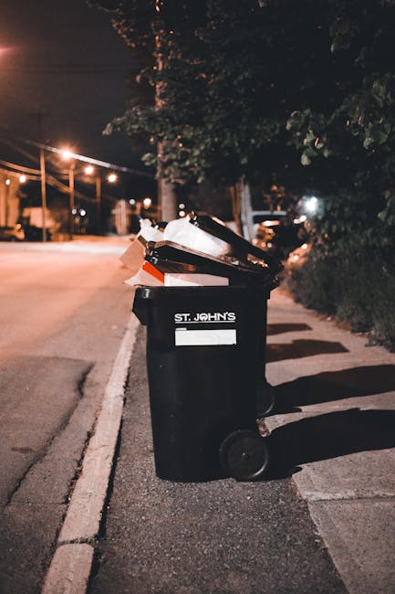 In the foreground, two black recycling bins with blue lid openings are positioned on a paved pathway, partially surrounded by a grassy area. Behind the bins, there is a well-maintained green lawn bord